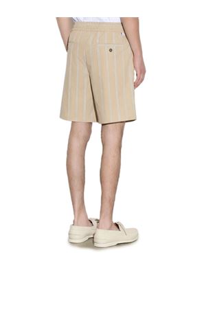 Bermuda in cotone a righe beige e bianco PAOLO PECORA | D0521580RA11